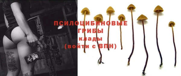 дживик Верея