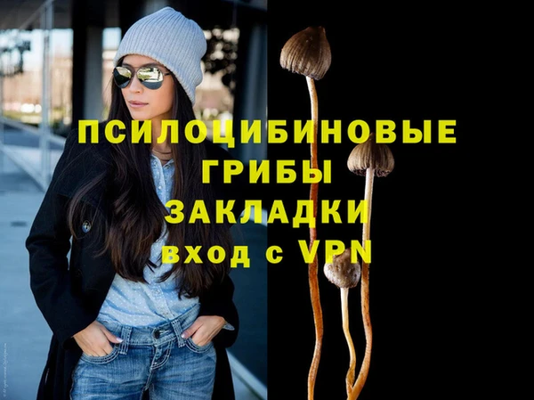 стафф Верхний Тагил