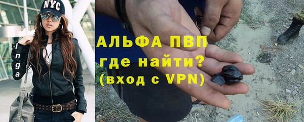 стафф Верхний Тагил