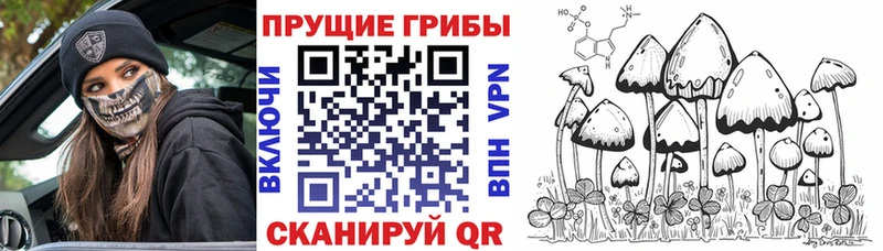 Галлюциногенные грибы Magic Shrooms  Канск 